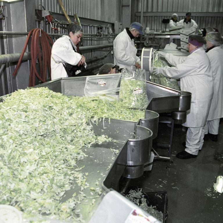 Vegetable Processing Products